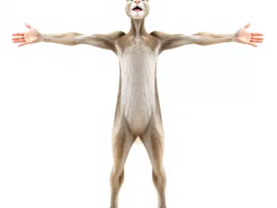 Animated Rabbit Character model pack Low-poly 3D model