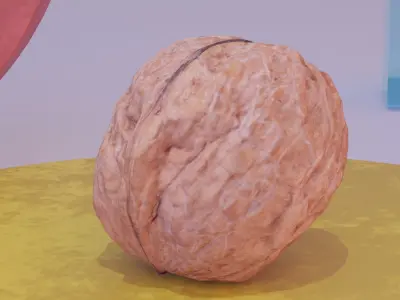 Walnut fruit 01 high-poly 3D model