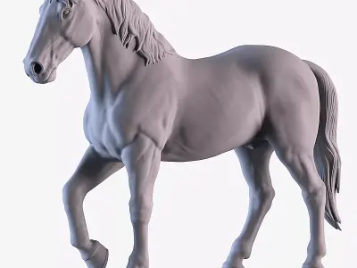 Horse 3D print model 9