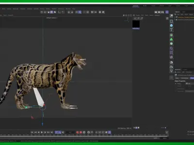 Indochina Clouded Leopard Low-poly 3D model