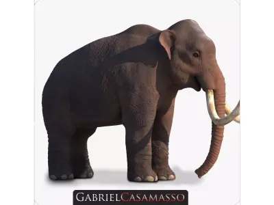 Columbian Mammoth - Mammuthus Columbi 3D model