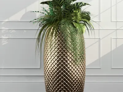 Room plants 3D model