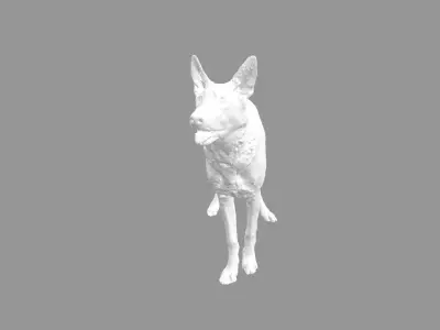 Malinois for 3d printing 3D print model 3D model 3D model