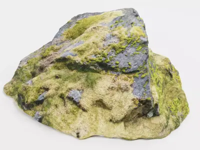 Rock with Moss - Scanned Low-poly 3D model