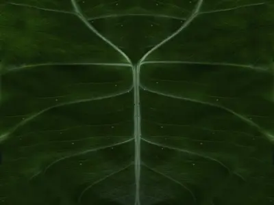 Large banquet round table 3D model