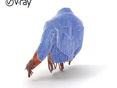 Fringed Suede Jacket Vintage Style model pack Low-poly 3D model