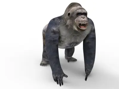 Gorilla  3D Models game ready low poly Low-poly 3D model