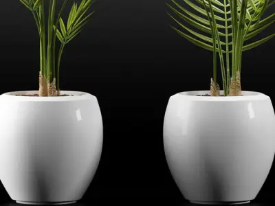 Plants 110 3D model
