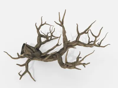 Aquarium Snag V22 3D model