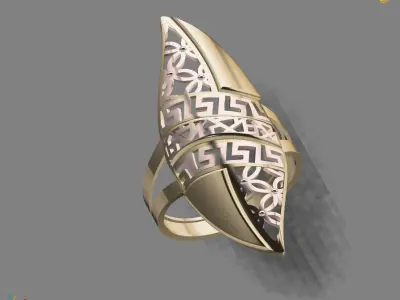 Women Long Ring Ready STL 3DM Models Womens Ring Long models 3D print model get