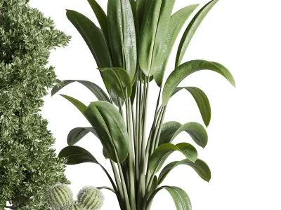 stand plant box  collection Indoor plant 242 wooden 3D model