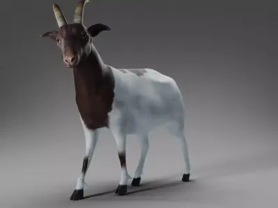 3D Goat 03 Rigged in Blender Low-poly 3D model