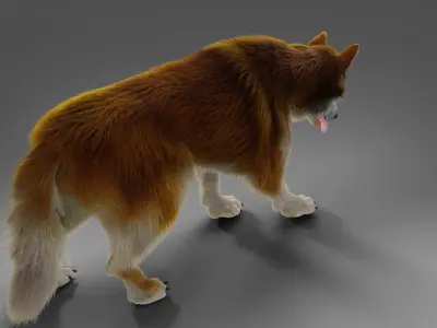 Fur Red Wolf NO Rigged in Blender  Low-poly 3D model