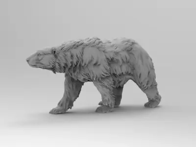 Bear - 3D model purchase