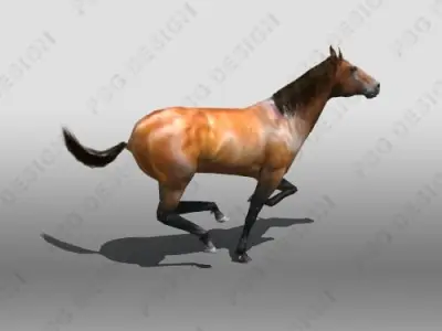 Horse running 3D model