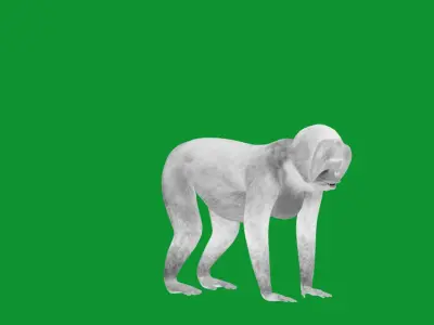 Orangutan  Low-poly 3D model