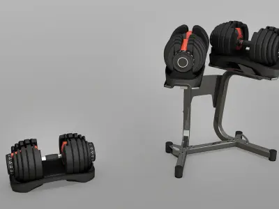 Adjustable Dumbbells Low-poly 3D model