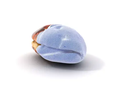 Golden Pastry Delight model pack Low-poly 3D model