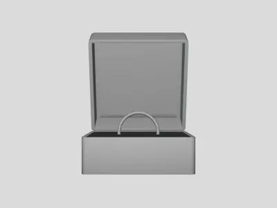 Ring Box - Geometry Only No Textures No Materials 3D model
