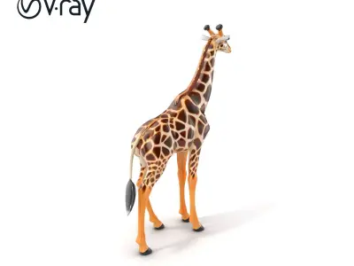 South African Giraffe Realistic Texture model pack Low-poly 3D model