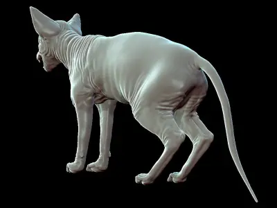 Sphinx Cat Sculpt 3D model