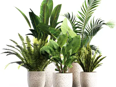 intdoor plants set 01 3D model