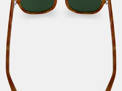 Toddy Sunglasses in Sequoia Tortoise 3D model