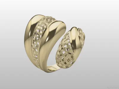 Fusion Ring  Light Weight 3D print model