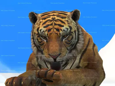 Tiger Rigged Animated 7 3D model