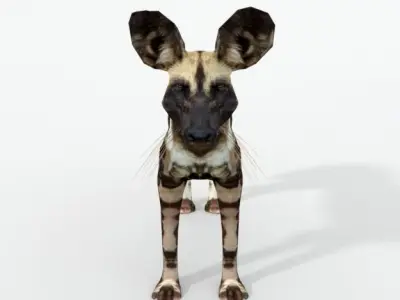 African Hunting Wild Dog Low-poly 3D model