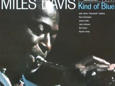 vinyl records  3D model