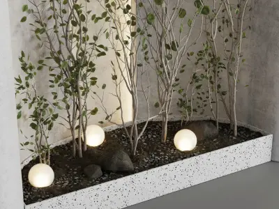 Plants garden - indoor plant 341 Low-poly 3D model