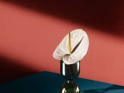 Small flowers collection 3D model