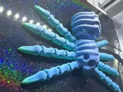 Flexi Spider skeleton  3D print model