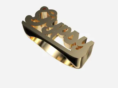 Custom Name Ring  3D print model