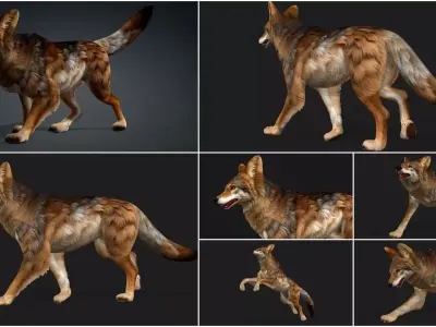 Pack-07 Wolf 3D model