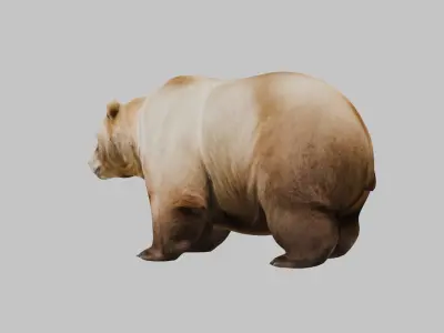 Extremely Obese Cartoon Bear 3D Model Low-poly 3D model
