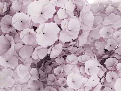 Modern Realistic Bouquet glass Vase Lilac Hydrangea 620 3D model