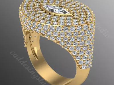 Ring ri239 3D print model