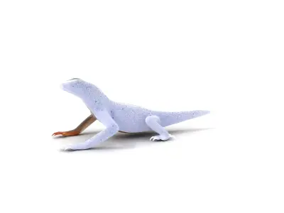 Spotted Lizard Creature model pack Low-poly 3D model