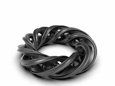 spiralhole spiral ring 3D print model
