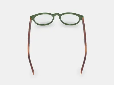 Percey Eyeglasses in Seaweed Crystal with Amber Tortoise 3D model