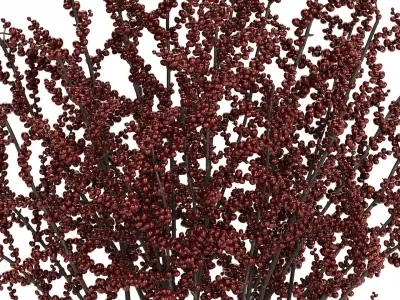 beautiful bouquet of branches with red berries 481 3D model