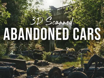 3D Scanned abandoned cars 3D model