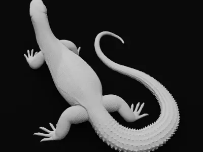 Ackie Monitor - Spiny Tailed Monitor - Lizard Reptile 3D Print 3D print model