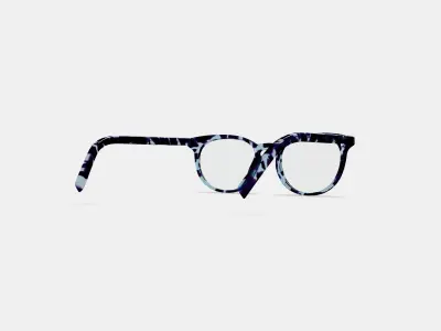 Sadie Eyeglasses in Riverbed Tortoise 3D model