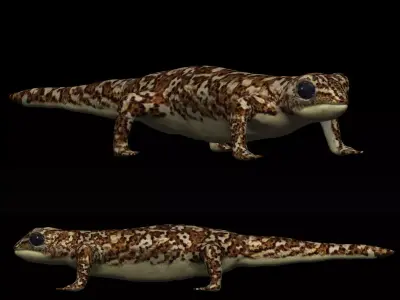 Gecko Lizard Low-poly 3D model