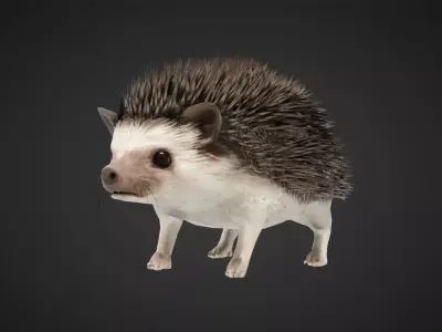 Hegdehog 3D Character Low-poly 3D model