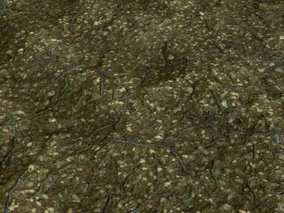 4 - Organic Materials For Environtment Texture