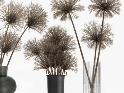 Bouquet of dried flowers Cyperus in a vase 177 3D model